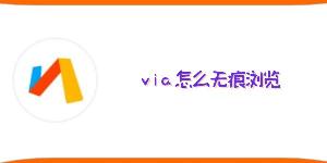 via怎么无痕浏览