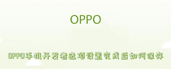 OPPO手机开发者选项设置完成后如何保存