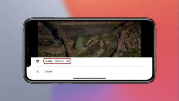 苹果iOS 14系统引入对谷歌VP9编解码器