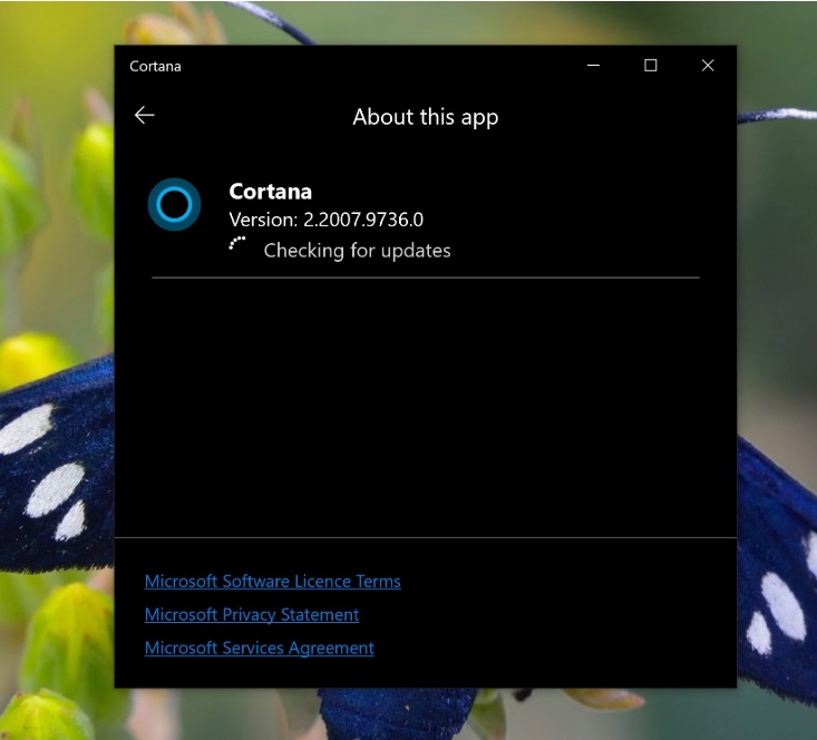 微软 Cortana App 可绕过 Windows 10 应用商店更新