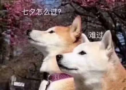 今年七夕你尽管秀表情包