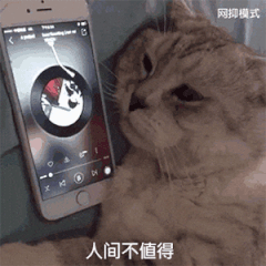 网抑云表情包大全