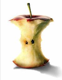 吃苹果的时候不要啃苹果核，这是因为苹果核含有少量的