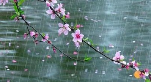 下列哪句诗是描写“春雨”的