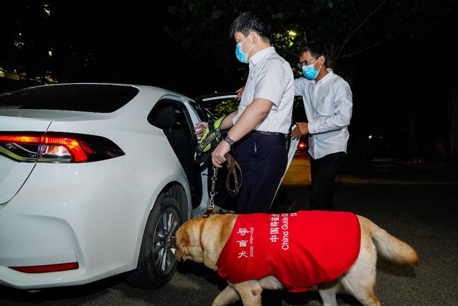 北京等地上线导盲犬用户打车服务 司机每单可获10元奖励