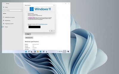 最新版本曝光：隐藏的Windows 11 &quotSE"浮出水面