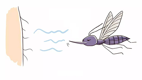 一般来说，蚊子叮人，有偏爱的血型吗