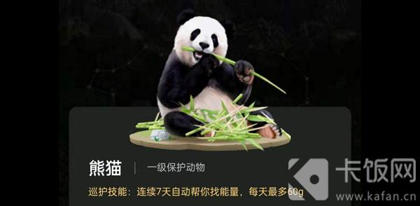 蚂蚁森林福寿保护地有熊猫吗