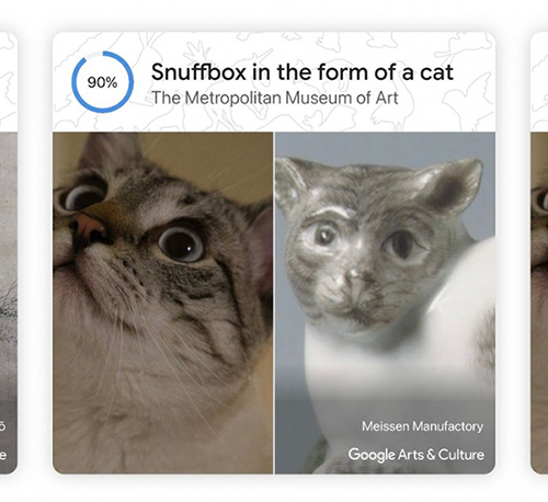Google 推出 Pet Portraits 功能，将宠物照与艺术品进行匹配