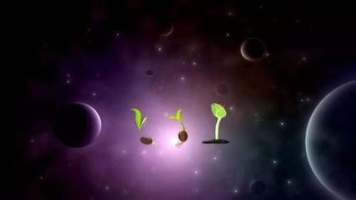 为何要把种子送上太空