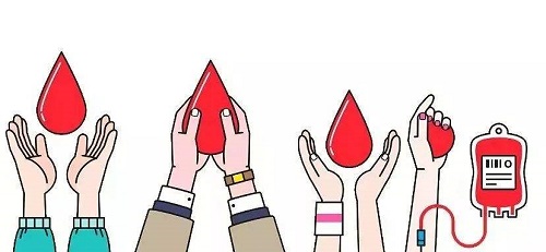 献血前哪种做法是正确的