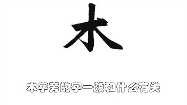 木字旁的字一般和什么有关