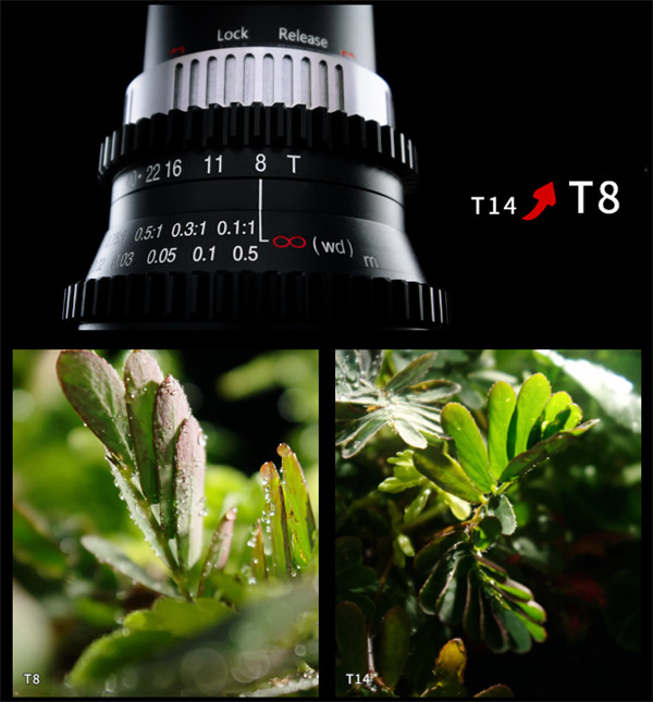 老蛙 FF 24mm T8 2X MACRO PRO2BE 特种微距镜头开启预售