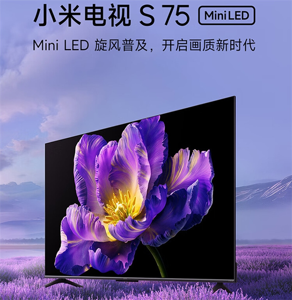 小米电视 S75 Mini LED 开启预售