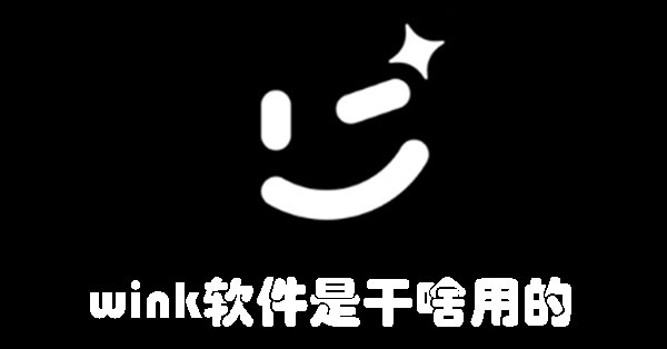 wink软件是干啥用的