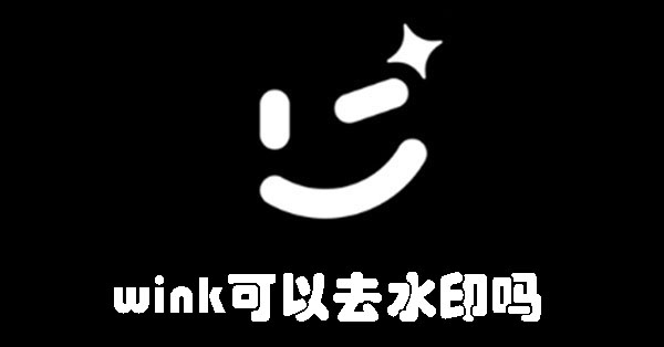 wink可以去水印吗