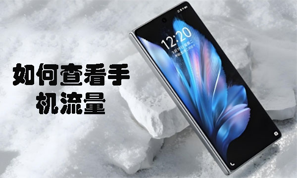 如何查看手机流量