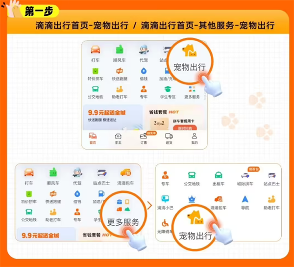 滴滴宠物出行全国范围上线，新增宠物快车服务_https://www.btna.cn_智趣_第2张