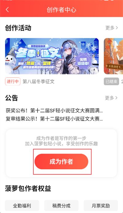 菠萝包轻小说怎么写小说