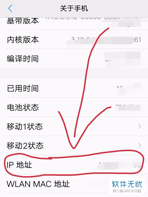如何查看vivo手机的型号IP地址？