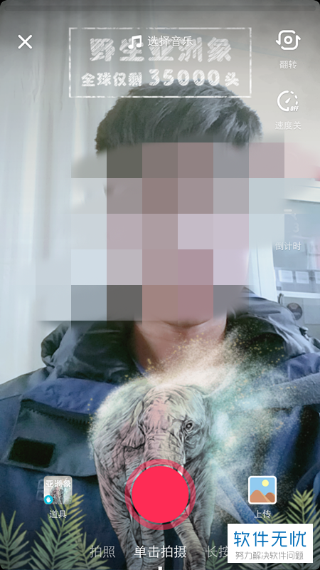 抖音中怎么拍摄制作带有野生亚洲象、野生动物特效的视频