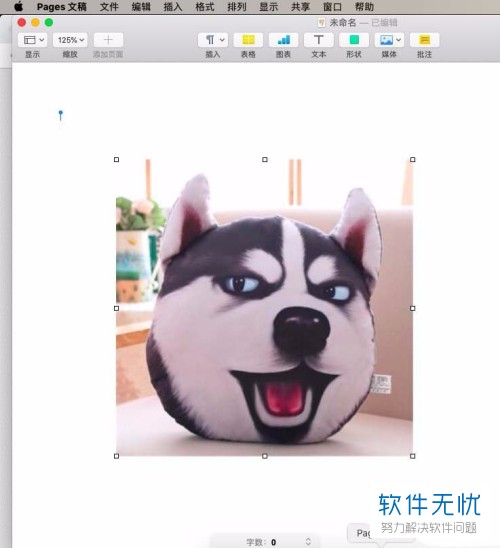 怎么在MAC苹果电脑中将引文插入到pages文章中？