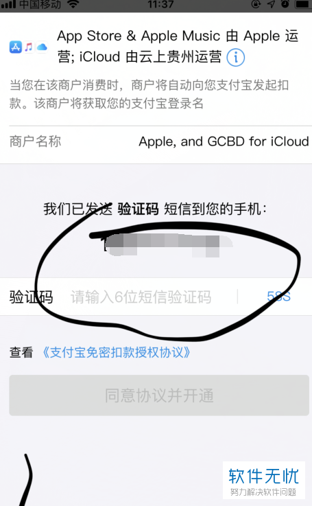 苹果app买东西怎么付款