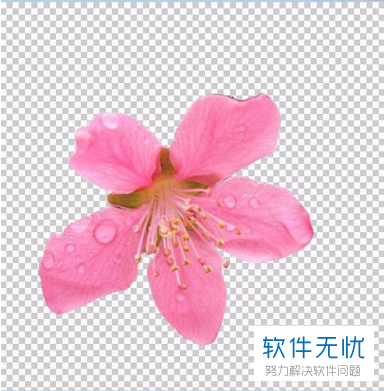 如何用photoshop PS将一张图片上的部分合并到另一张图片上