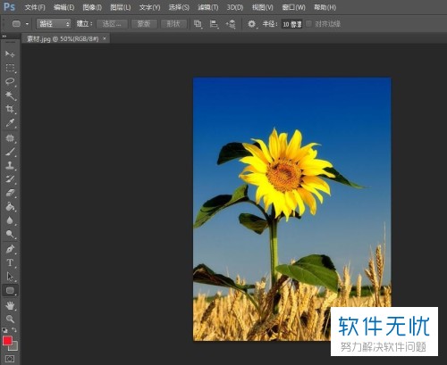 ps怎么把图片切成两半