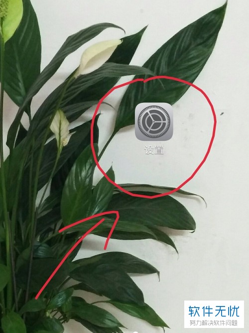 如何查看vivo手机的型号IP地址？