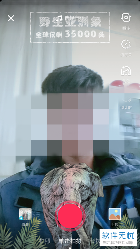 抖音中怎么拍摄制作带有野生亚洲象、野生动物特效的视频