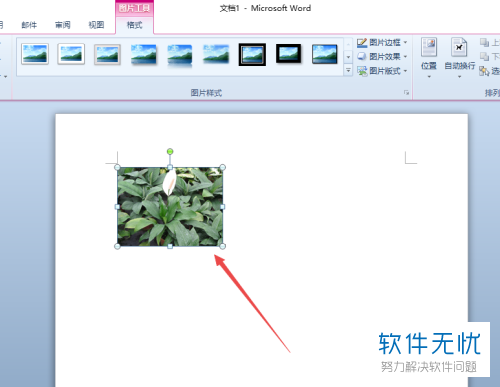 在word把图片高度设置成5厘米,怎么弄