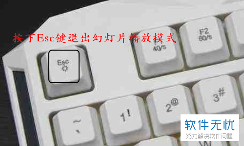 a9d3fd1f4134970a368a84d89bcad1c8a6865d4f.jpg