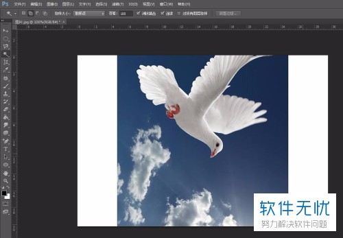 b17eca8065380cd77574e093af44ad3459828162.jpg
