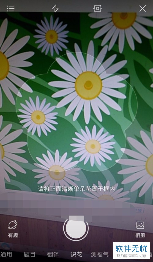 百度在线识花