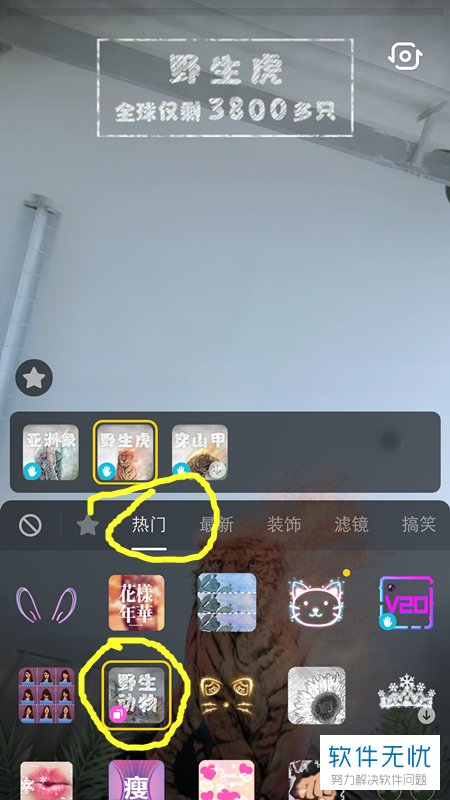 抖音中怎么拍摄制作带有野生亚洲象、野生动物特效的视频