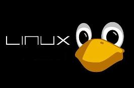 Linux 正式发布Linux 5.10.10 版本 修复Bug 提升稳定性