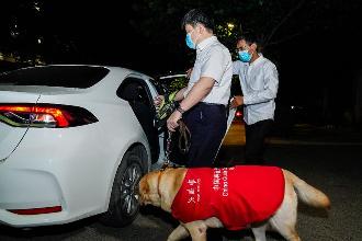 北京等地上线导盲犬用户打车服务 司机每单可获10元奖励