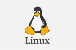 Linux 5.10 LTS 已确认维护期限将持续到2026年底