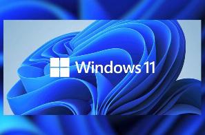 Windows 11 新 bug 导致安全中心部分功能打不开