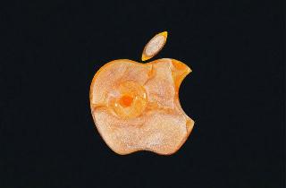 苹果CEO库克回应在中国打折：“与清理库存没有关系”