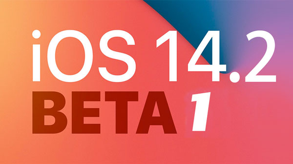 iOS14.2Beta1怎么更新