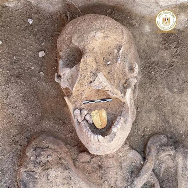 考古学家在埃及北部出土了2000年前的金舌头木乃伊